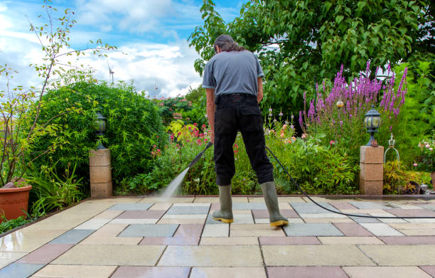 Best Driveway Pressure Washing  in Murphys Estates, SC